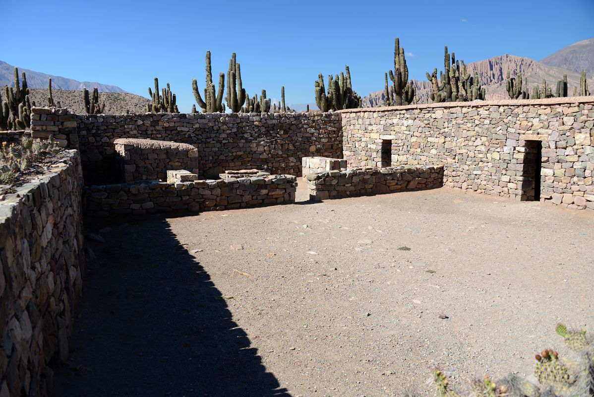 12 Giant Cactus Frame An Open Courtyard At Pucara de Tilcara In Quebrada De Humahuaca